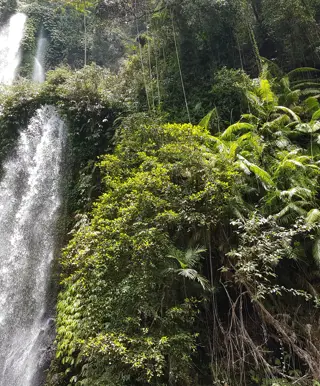 In den tollen Wasserfällen von Senaru ein Bad nehmen